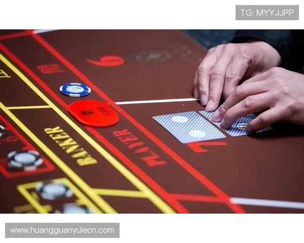 澳门赌场网址稳定性分析，优质平台保障你的每一次投注体验