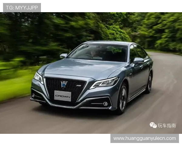 皇冠登陆安全可靠保障您的账户和财产安全的详细指南